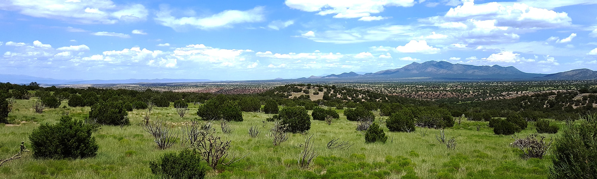 East Mountains Tijeras, Sandia Park, Cedar Crest, Edgewood